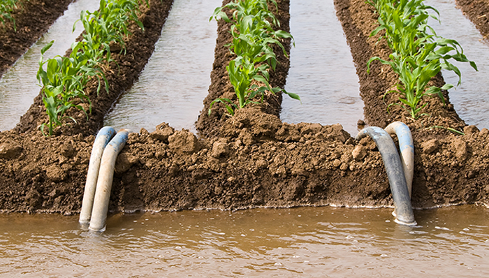 پساب های کشاورزی - Agricultural effluent disposal